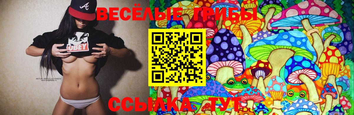 Кумертау  Псилоцибиновые грибы Cubensis  Вход с VPN 