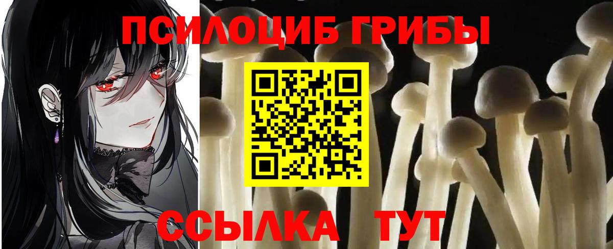 Галлюциногенные грибы MAGIC MUSHROOMS Кумертау